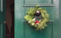 {{brizy_dc_image_alt entityId=